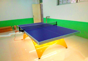 標準的乒乓球桌的規格是多少 標準的乒乓球桌的規格是多少